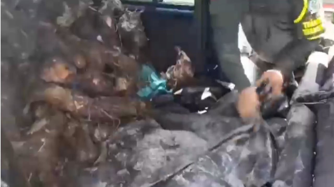 Captura e incautación de armas de fuego y elementos de intendencia del EMC de las FARC en una vía nacional