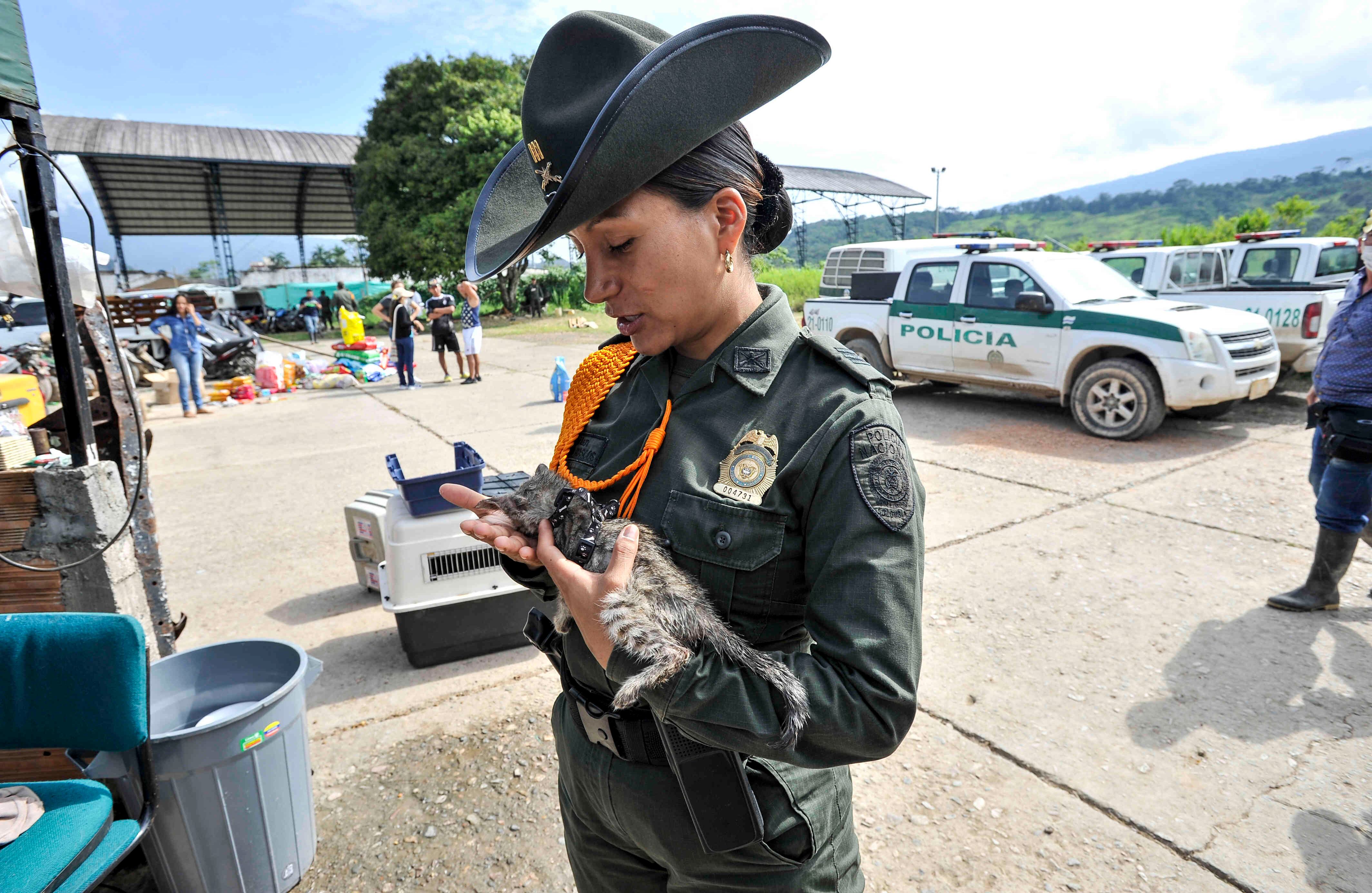 La capitan de la Policia de Carabineros Catalina Díaz, da calor a un gato, el miércoles 5 de abril de 2017, en un refugio provisional en Mocoa, Putumayo, luego de que una avalancha de lodo y piedra —la noche del 31 de marzo— provocada por el desbordamiento de los ríos Mocoa, Mulato y Sangoyaco, matara a por lo menos 301 personas y dejara un número indeterminado de desaparecidos. Foto: Carlos Julio Martínez / SEMANA