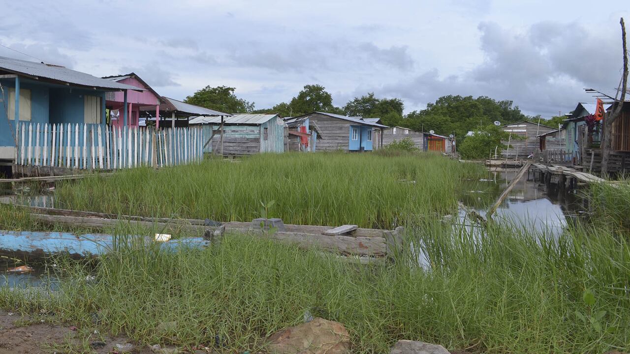 Las casas del barrio Pescador I, en Turbo, están construidas sobre tablas de madera que las sostienen encima del agua. Varias familias de Cacarica viven en este barrio.