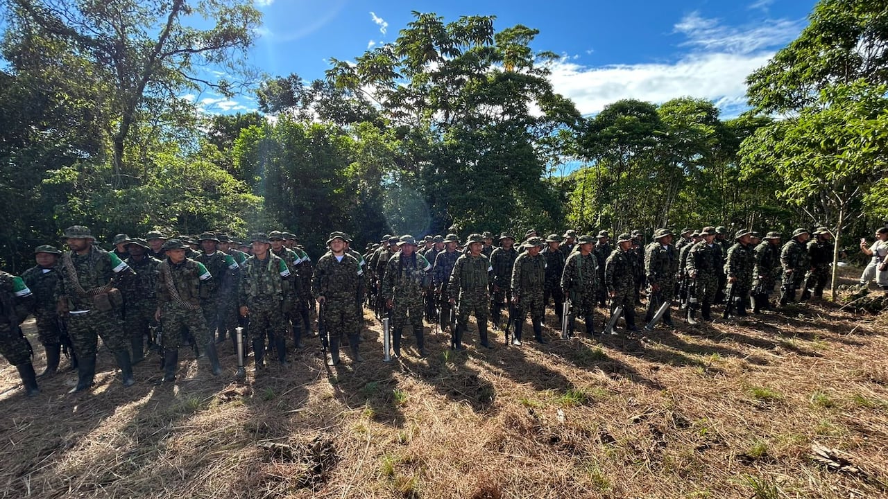 Coordinadora Nacional Ejército Bolivariano deja las armas.