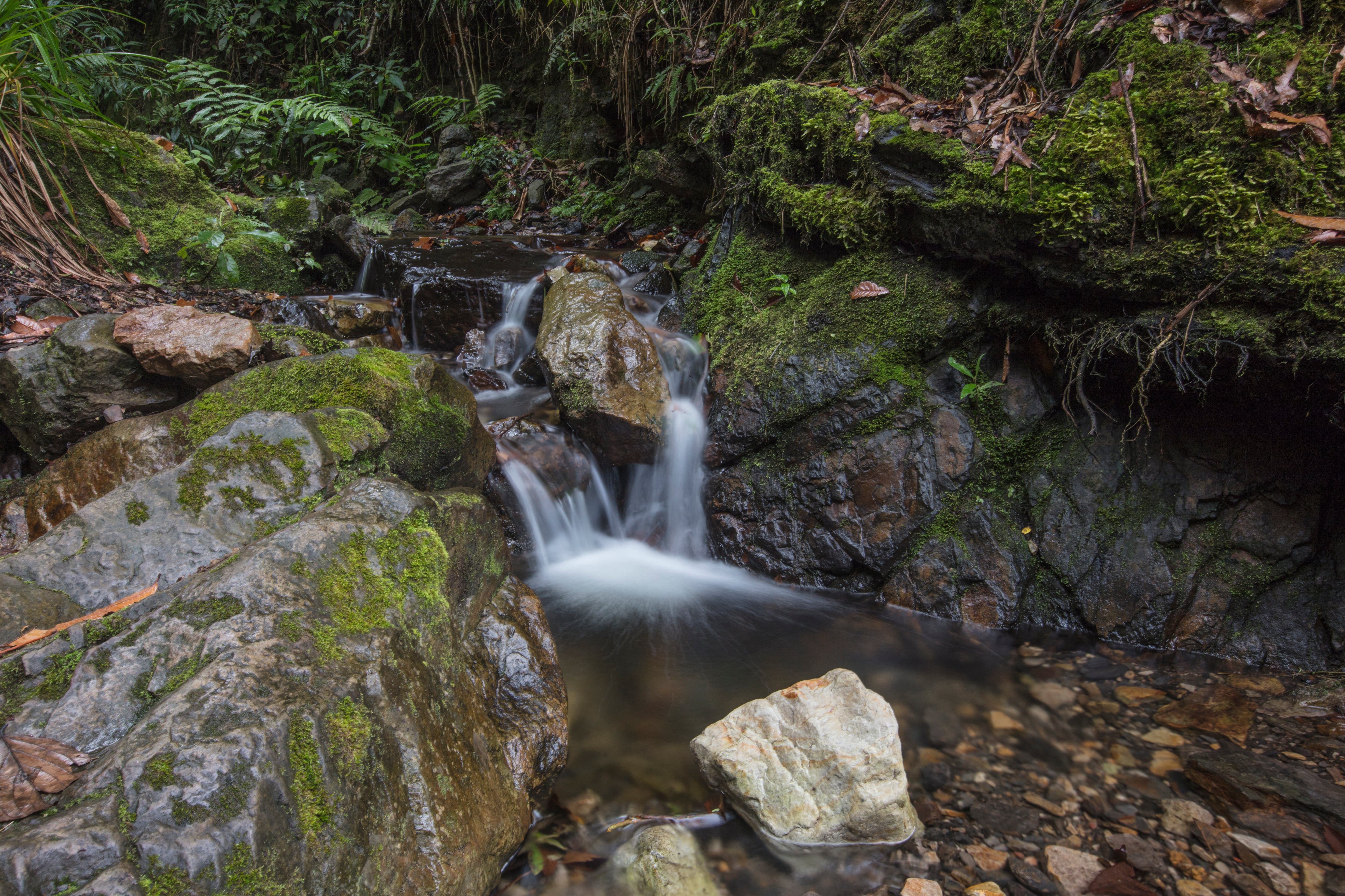 El proyecto para explotar materiales de construcción estaba en inmediaciones de la reserva El Tablazo