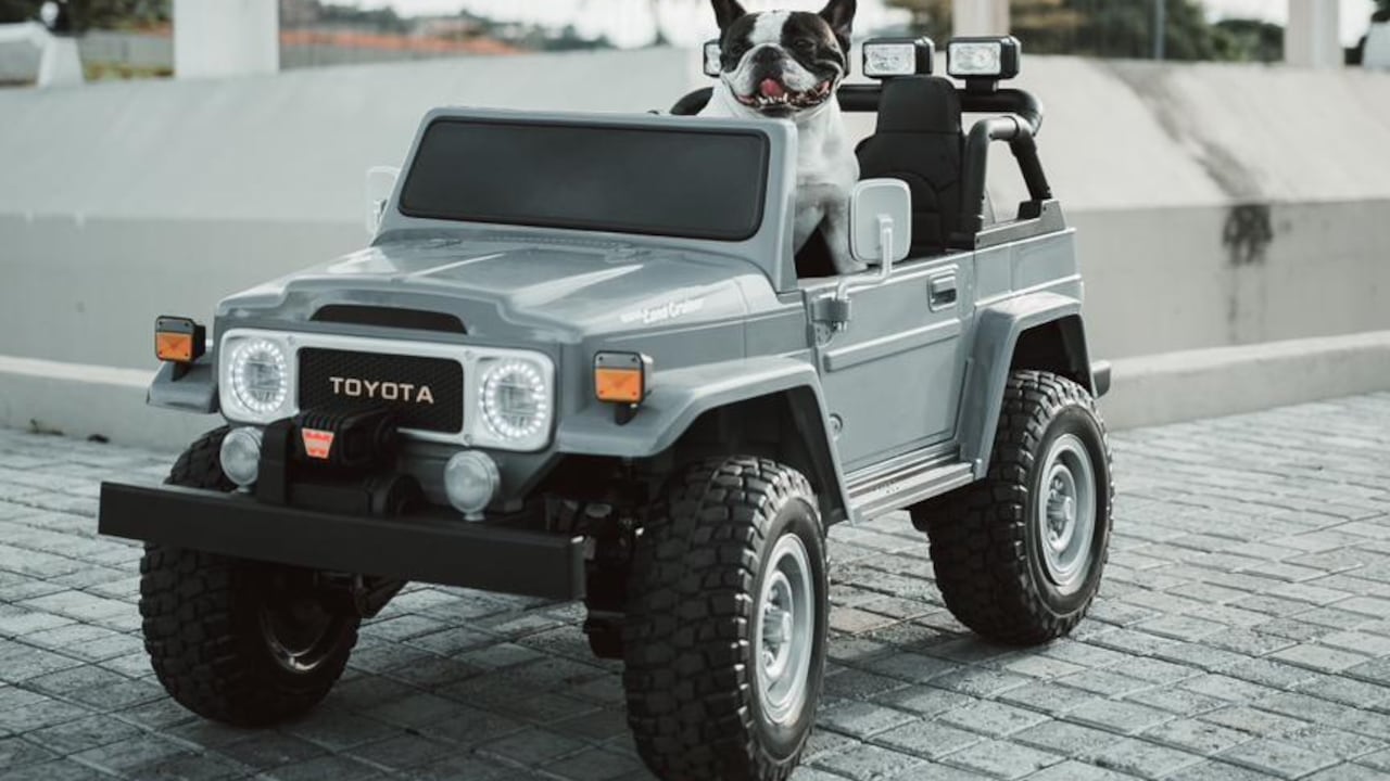 "Un primero de mayo, que estábamos casi que mirando para el techo, dijimos: 'ahora, activemos las redes de Punky y aprovechemos que esos carritos existen a ver qué pasa'. Hoy en día todo pasa en TikTok. Y bueno, el resto es historia, la verdad", afirmó Betancour. Foto: Daril Jimenez @darilgram