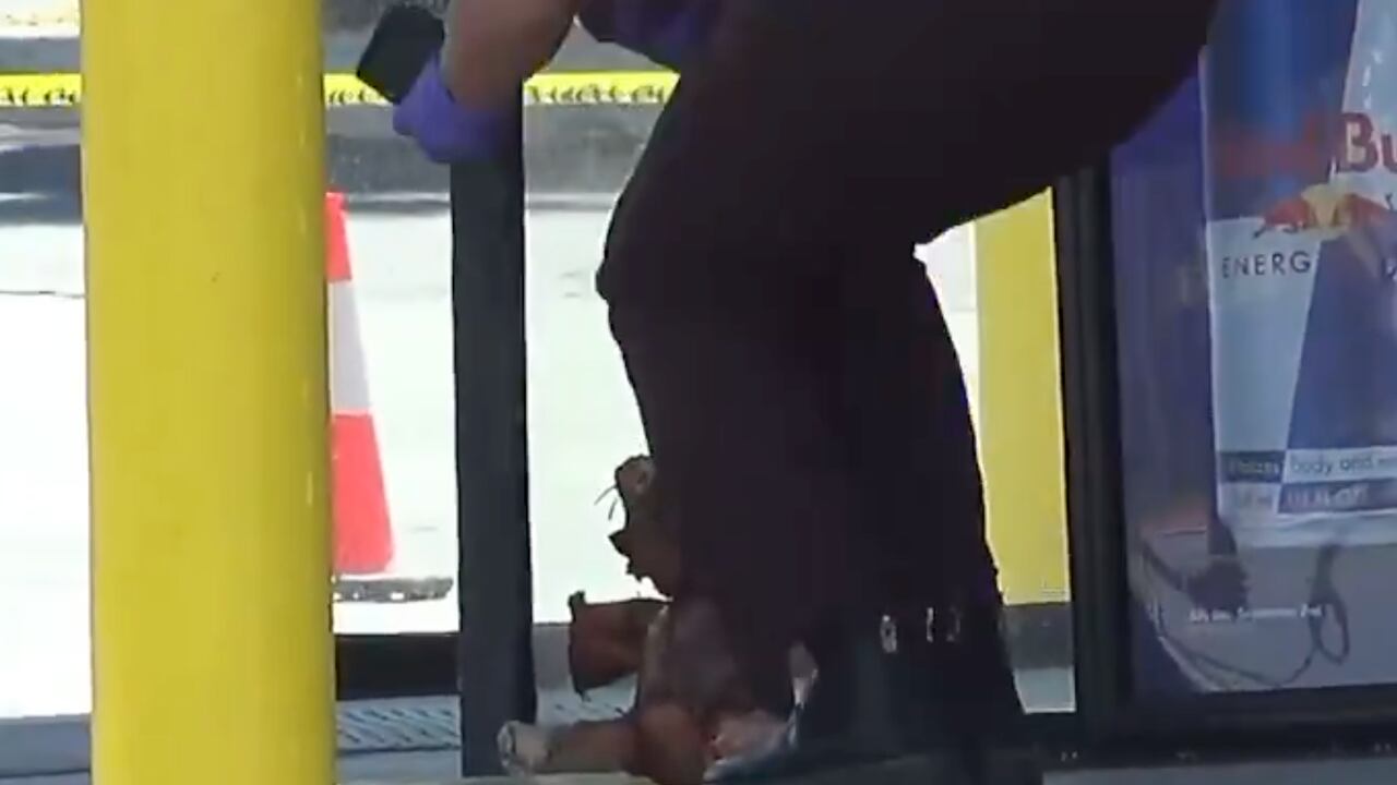 La policía llegó al al lugar para investigar el misterioso hallazgo.