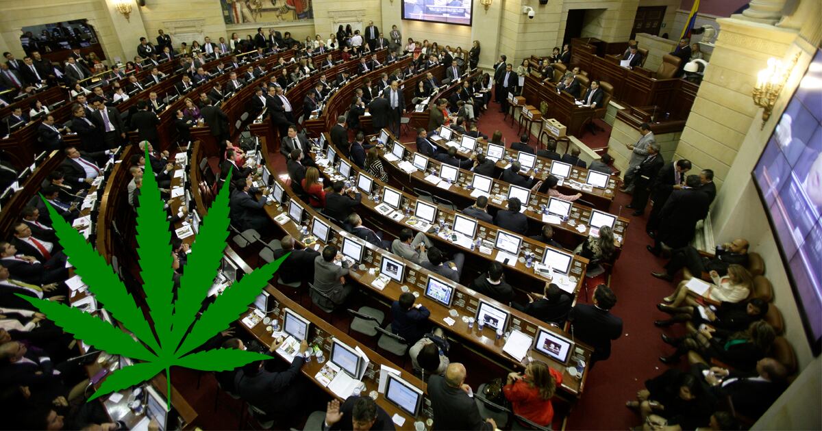 Aseguró que desde el Gobierno seguirán apostándole a la transformación cultural para que pase de ser criminalizada a ser regulada y empleada de forma pedagógica.