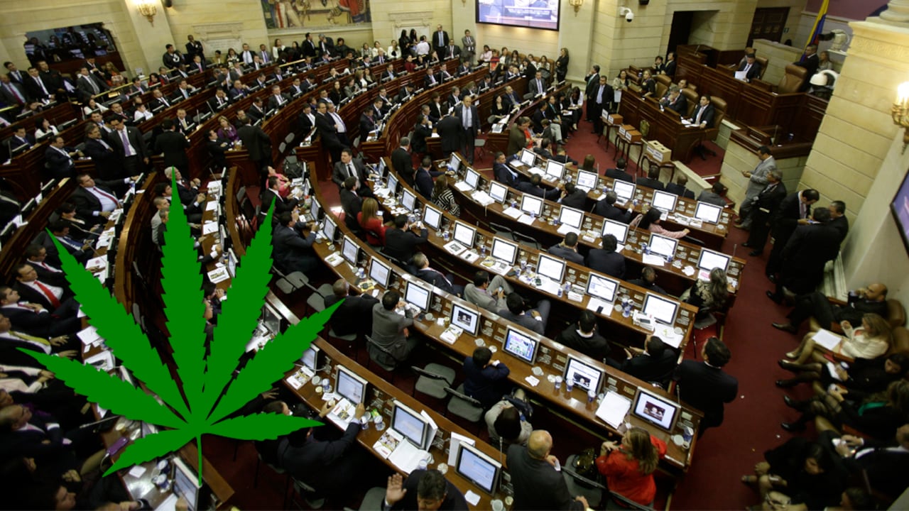 Quedan muchas dudas respecto a la forma cómo se reglamentaría en Colombia el uso de la marihuana terapéutica.