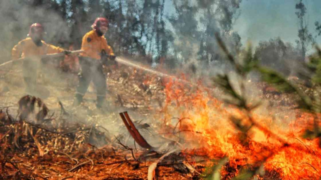 En la primera temporada seca de este año se registraron más de 800 incendios en diferentes regiones del país. Foto: Dirección Nacional de Bomberos.