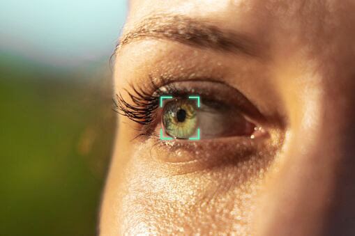 El nervio óptico guarda relación con el cerebro.