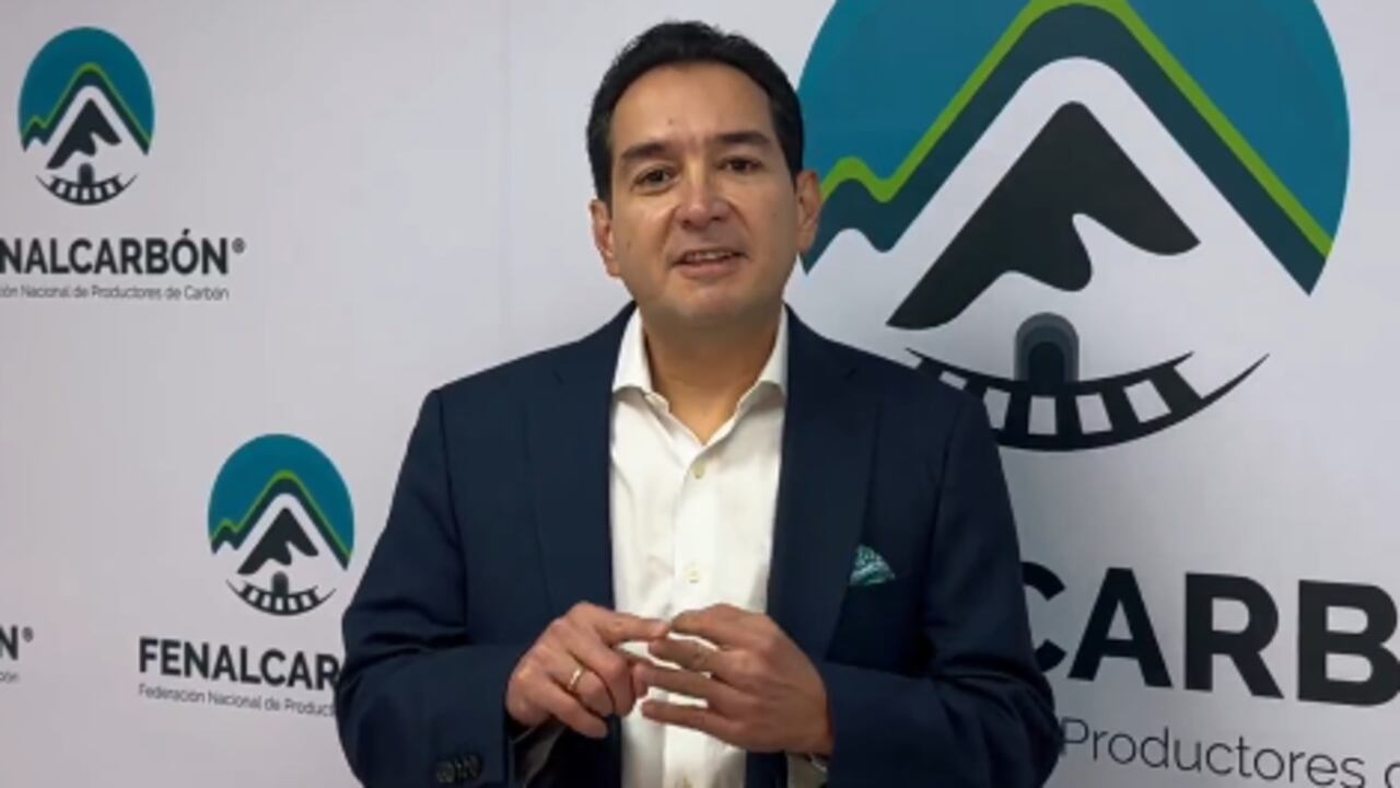 Carlos Cante, presidente de Fenalcarbón