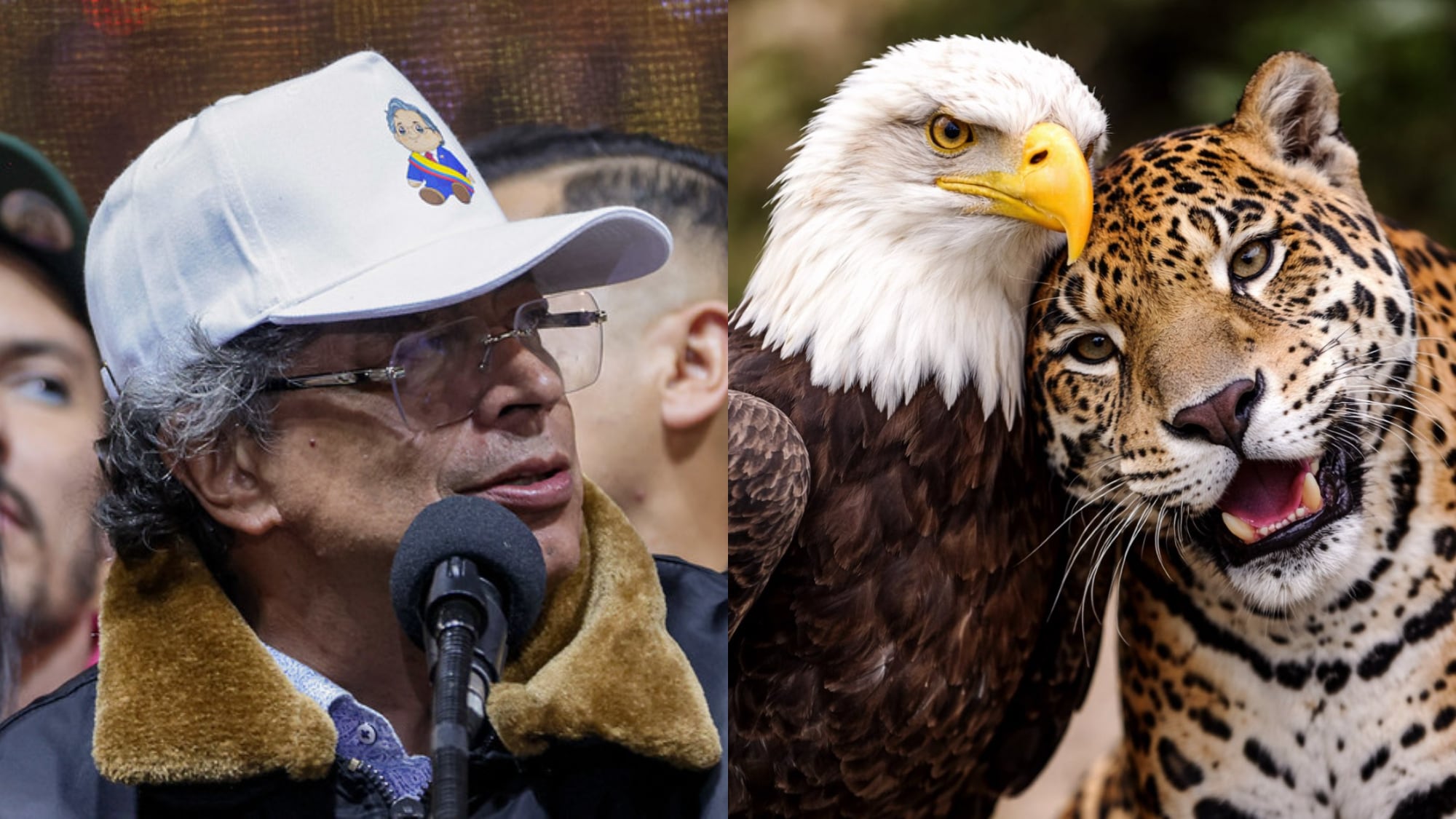 Gustavo Petro publicó foto de un jaguar y un águila, haciendo alusión a su nuevo acercamiento con Donald Trump.