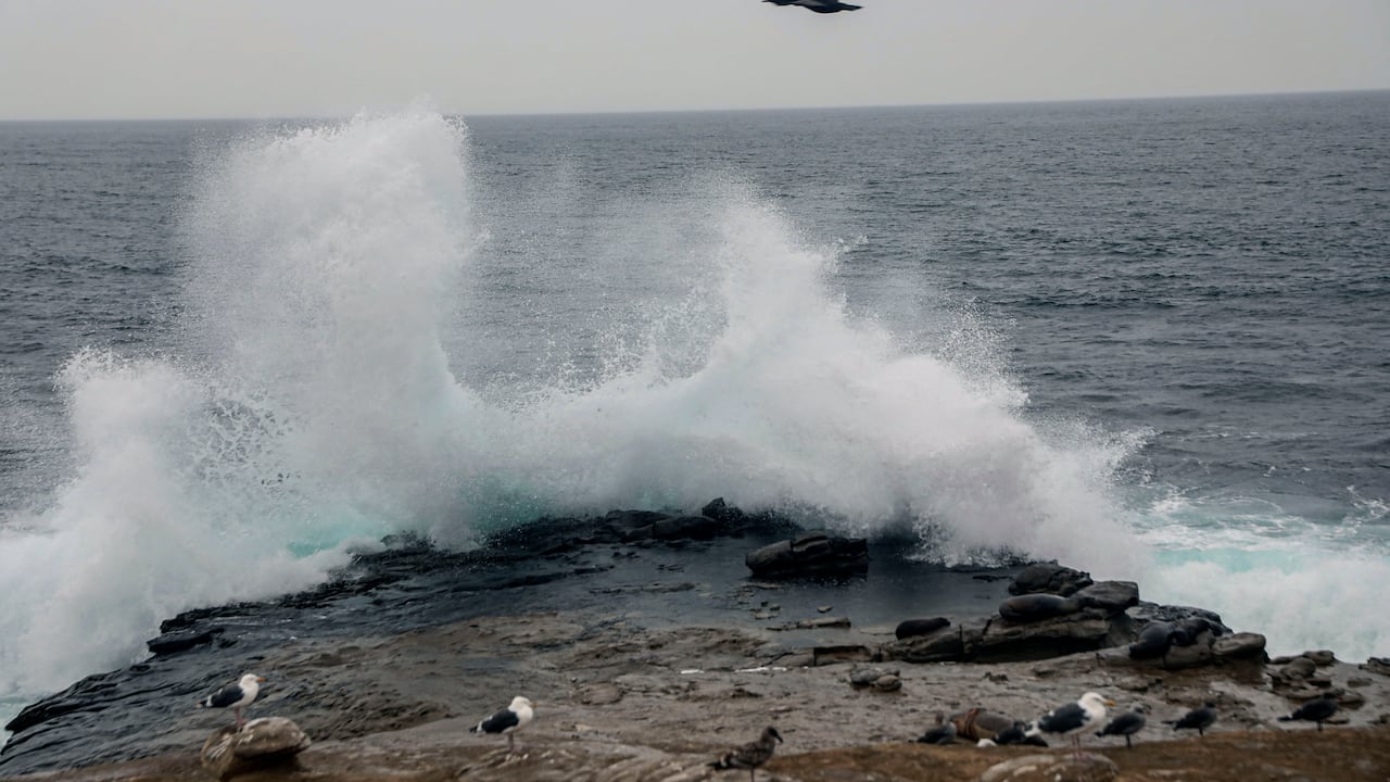 Dichas olas suelen ser peligrosas para embarcaciones y bañistas.