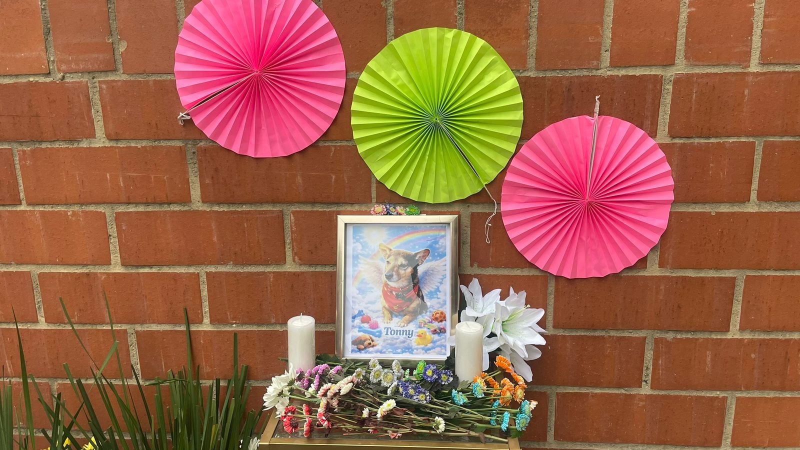 Se le dio un último adiós a Tonny, el perrito que sufrió este atroz acto.