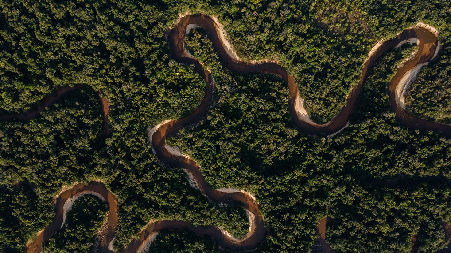 Leyes como la de Acción Climática, Transición Energética y Delitos Ambientales han contribuido al tránsito de Colombia hacia la sostenibilidad.