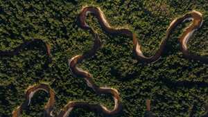 Leyes como la de Acción Climática, Transición Energética y Delitos Ambientales han contribuido al tránsito de Colombia hacia la sostenibilidad.