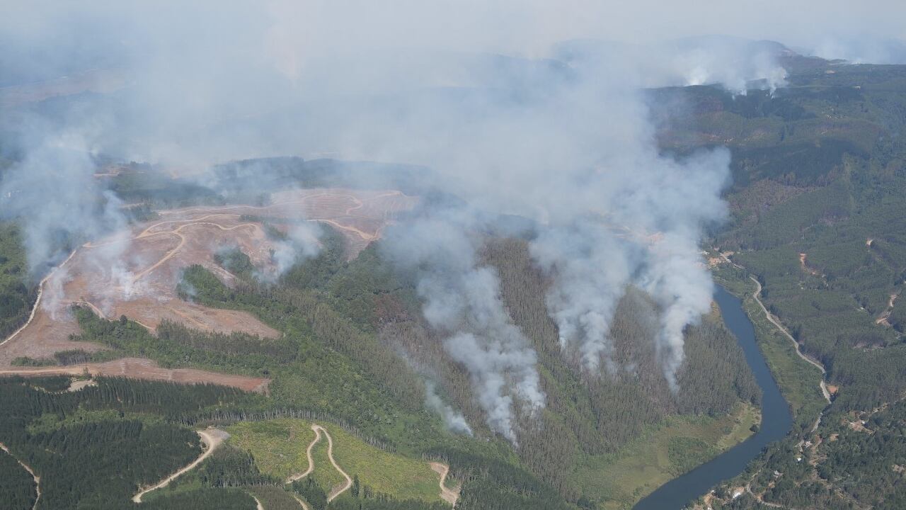 Chile bajo fuego: aumentan los incendios y las llamas están incontrolables; más de 420 mil hectáreas han sido devoradas