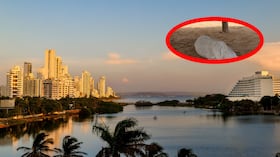 El extranjero tenía 30 años y era oriundo de Inglaterra.