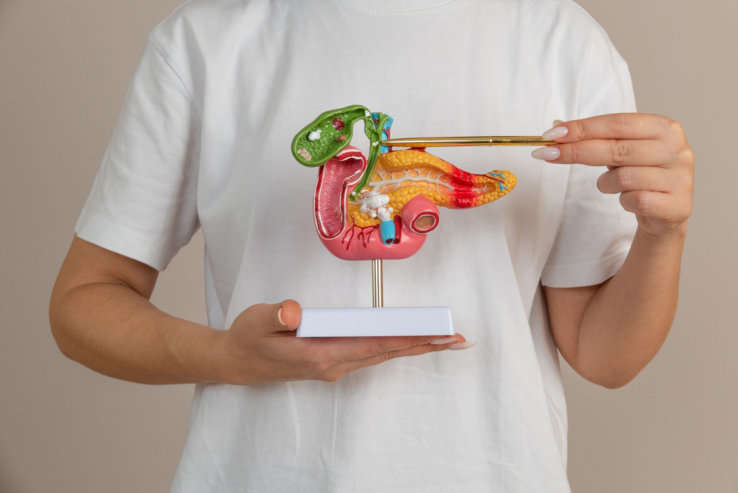 El cáncer de páncreas, uno de los más mortíferos a nivel mundial, rara vez se detecta en sus etapas iniciales, cuando es más curable.