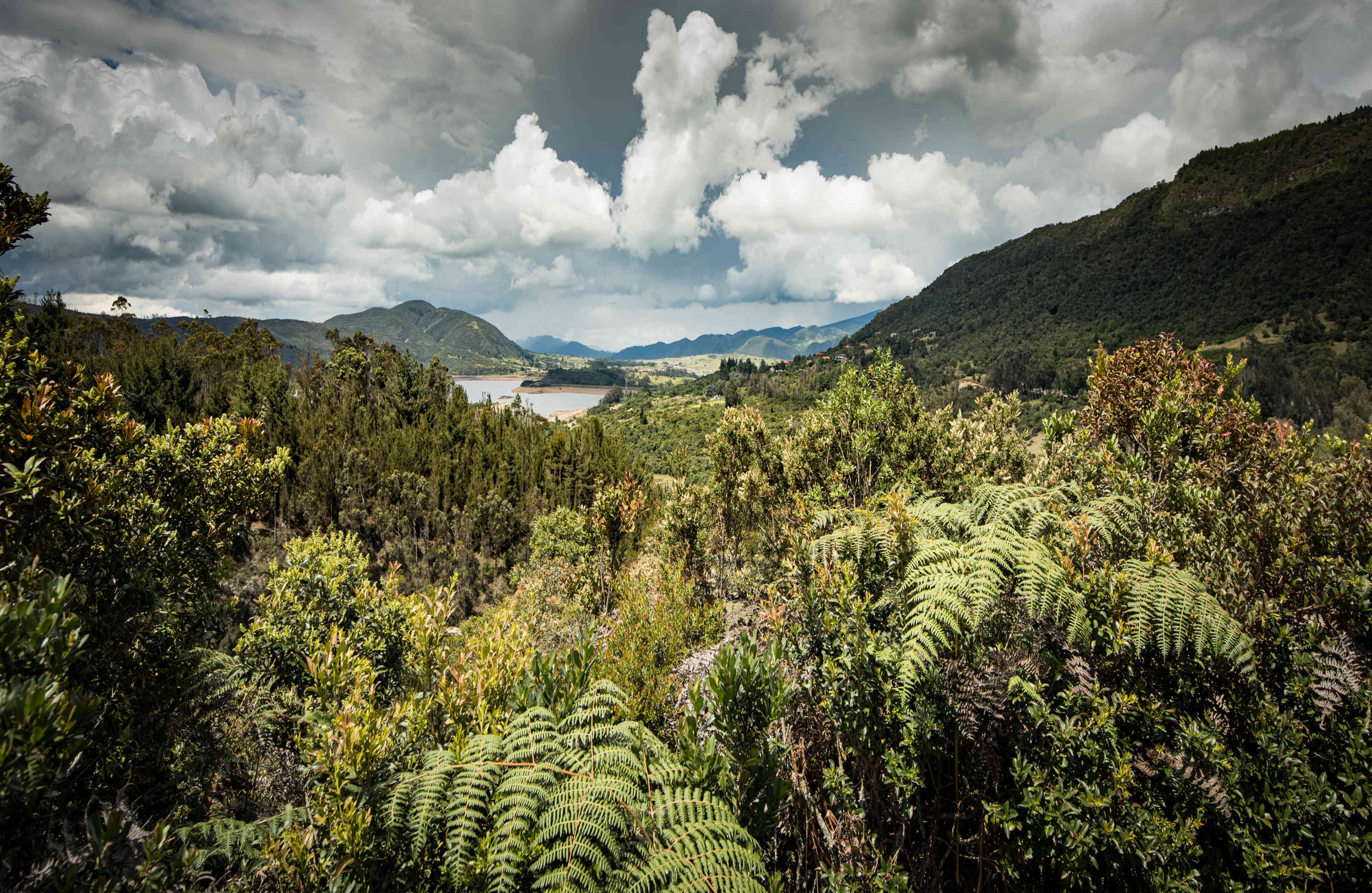 "Pero esas postales que pongo en Twitter son exactamente lo que le digo: una interpretación del país sin palabras”.