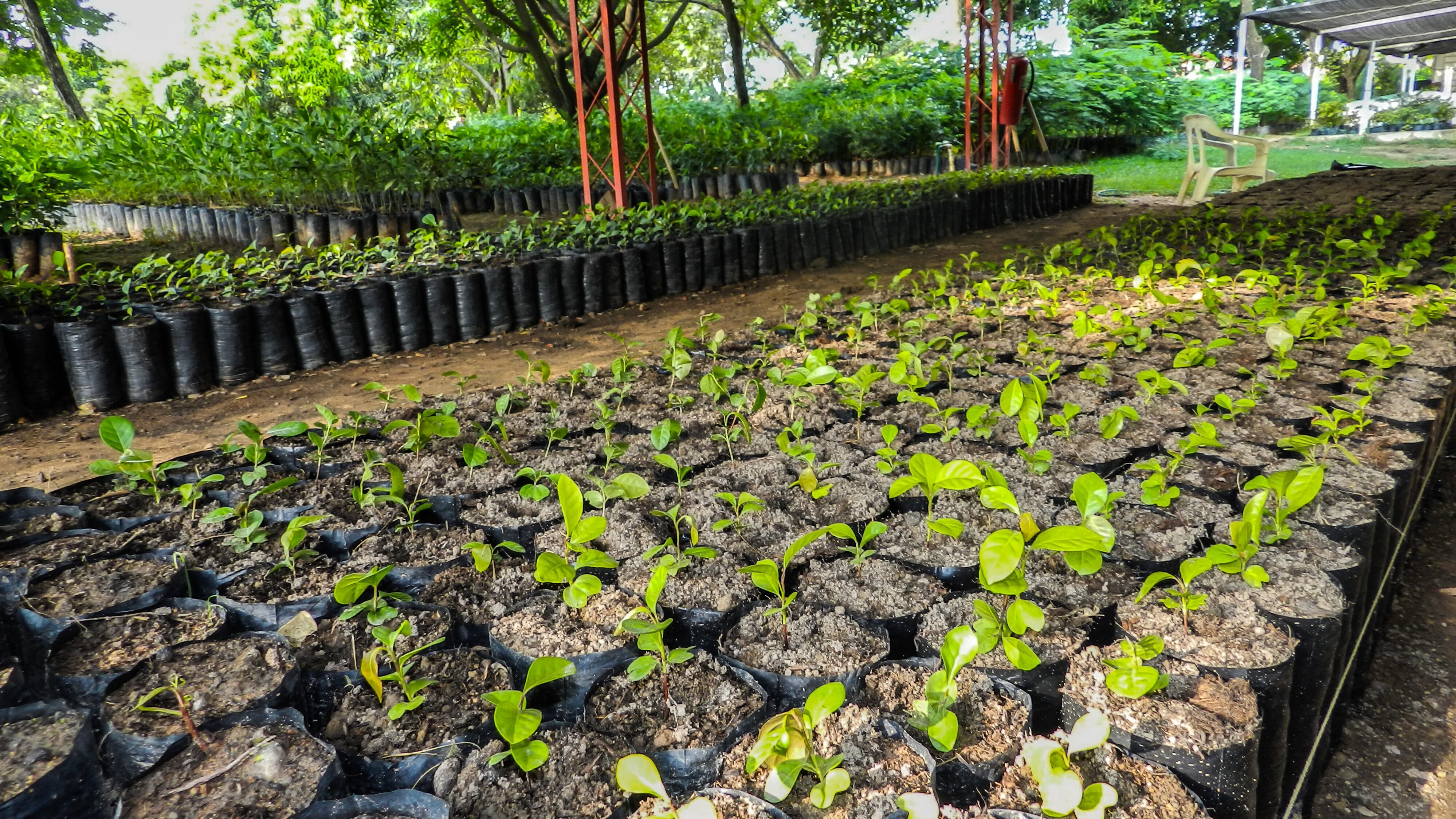 Drummond especial mineria