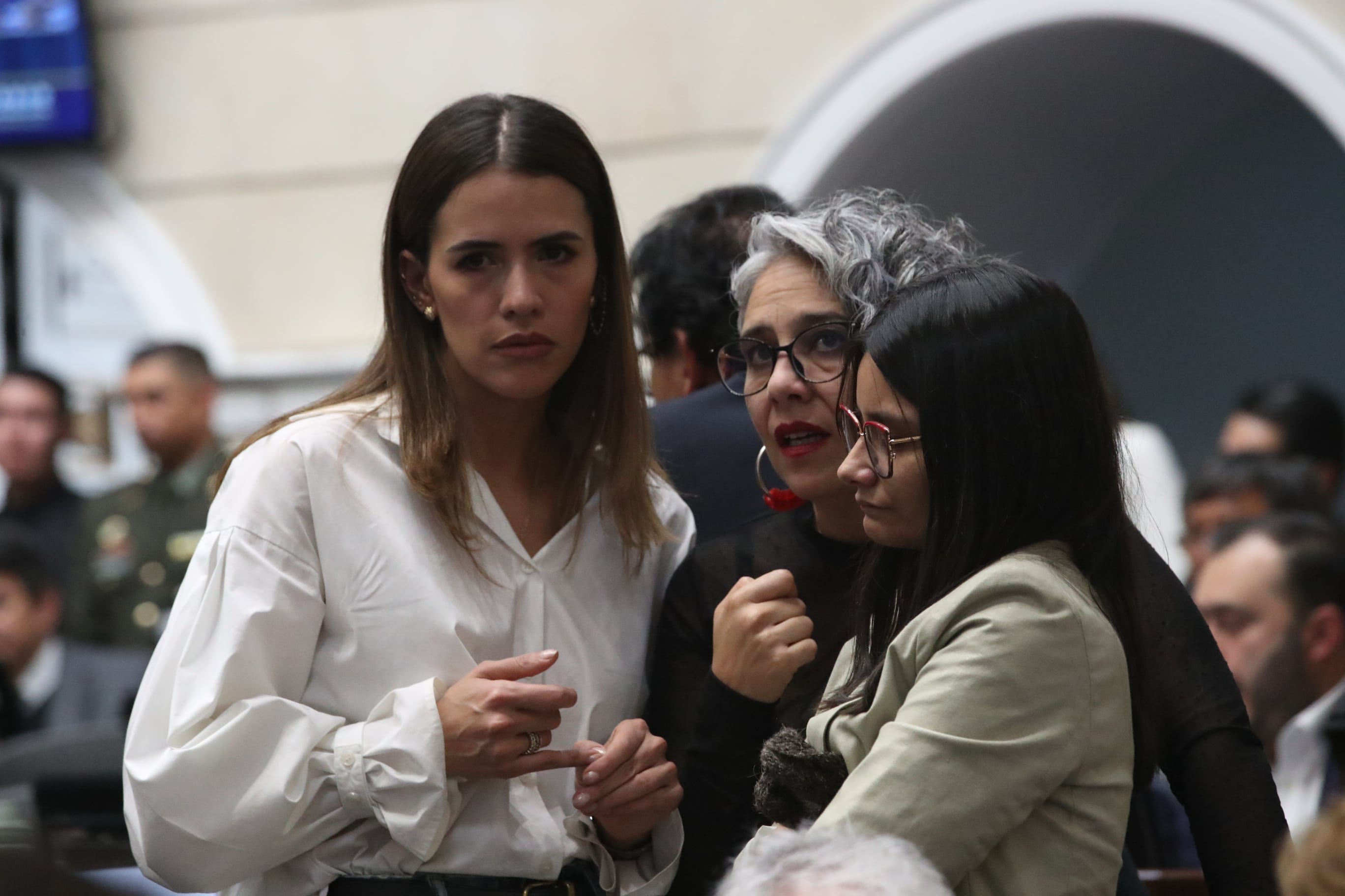 Plenaria Senado, consulta popular