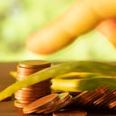 Enterrar monedas en una mata de sábila se le relaciona con buena suerte y atracción de dinero.