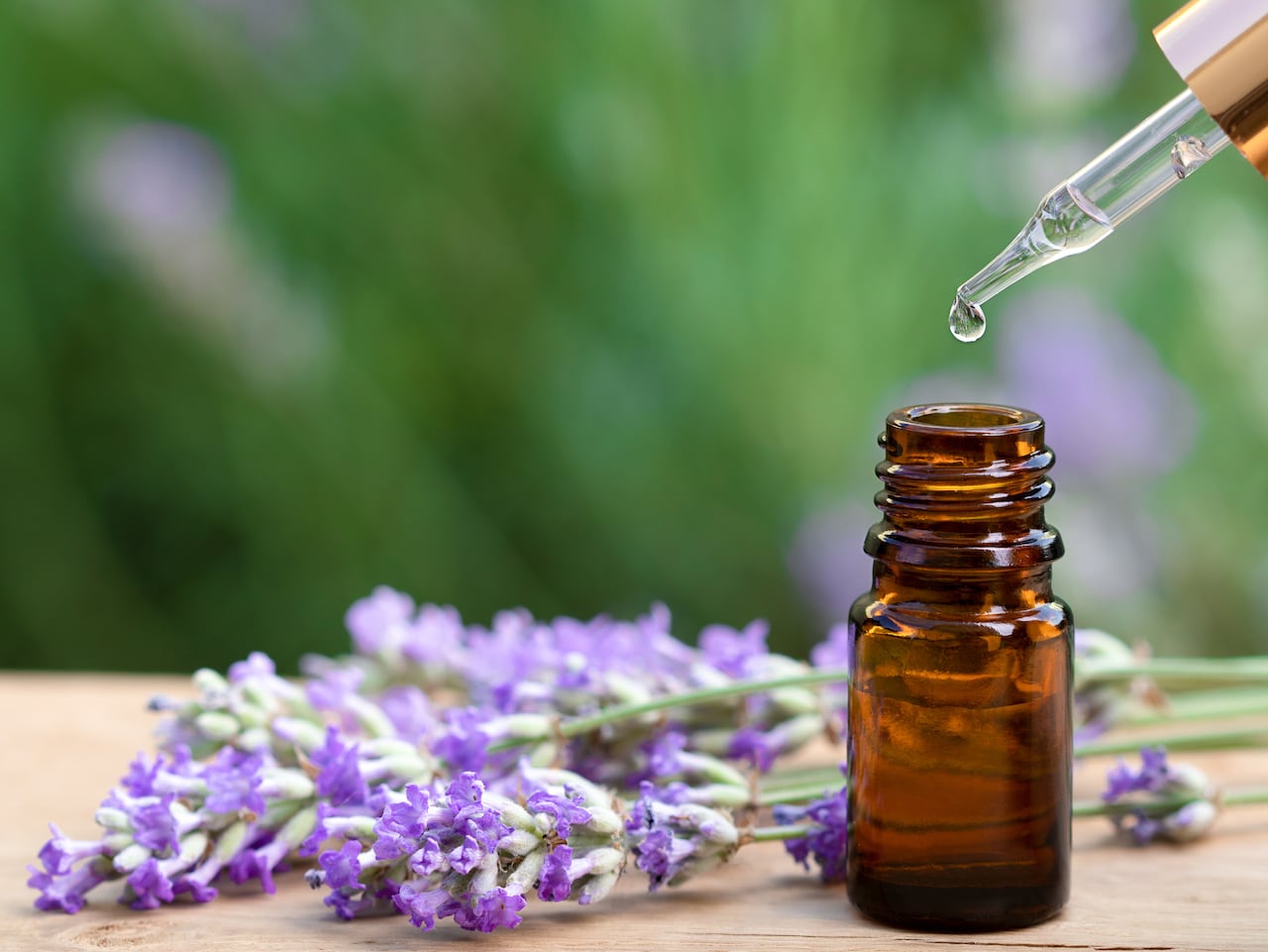 lavanda