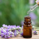 Los aceites esenciales de lavanda sirven para ahuyentar las cucarachas.
