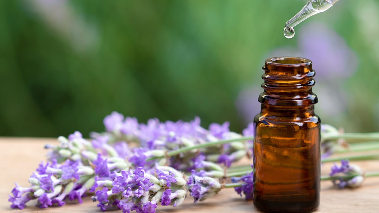 La lavanda es una de las plantas cuyo aroma ayuda a relajarse.