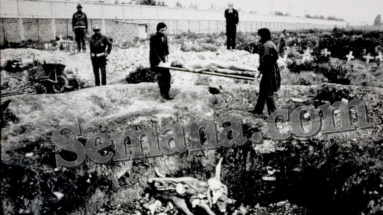 Los holandeses Jan Thielen y Harry Van der Aart tomaron la serie fotográfica.