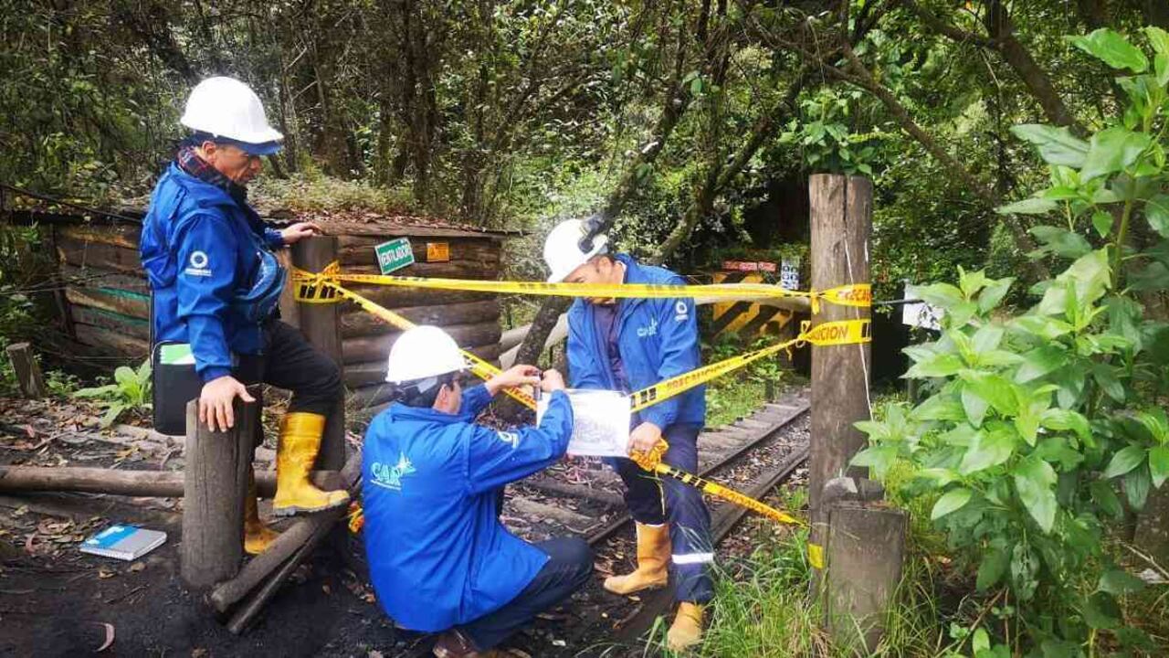 Las CAR trabajan para evitar procesos ilegales que afectan los ecosistemas en sus territorios. Foto: CAR
