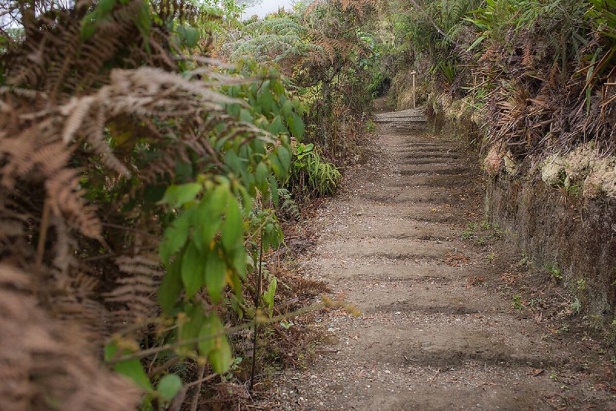 Reserva ProAves El Dorado