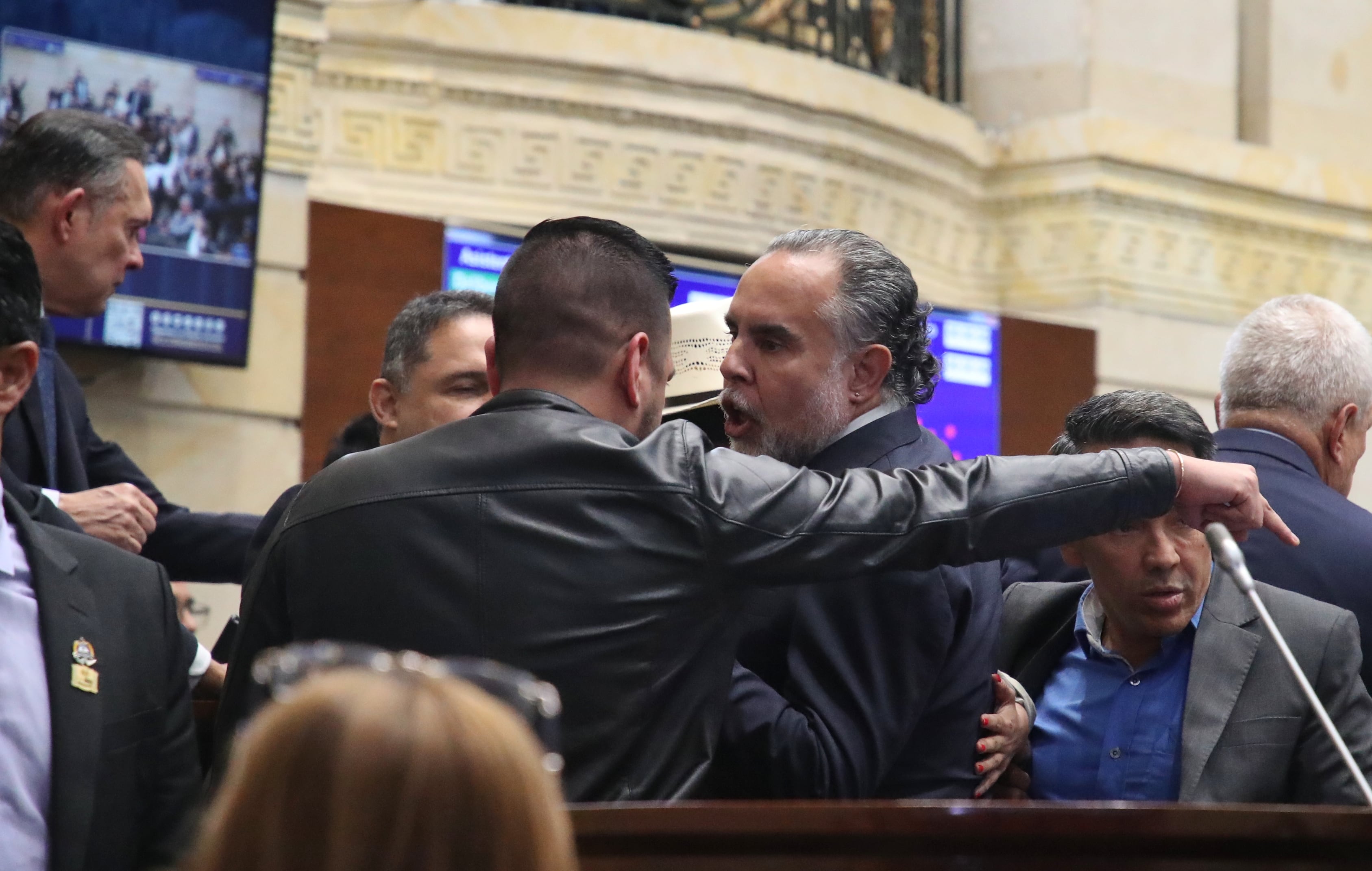 Plenaria de senado, consulta popular
