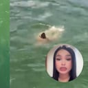 Este es el momento en el que el joven se tiró al agua y la mujer que habló después de lo ocurrido.
