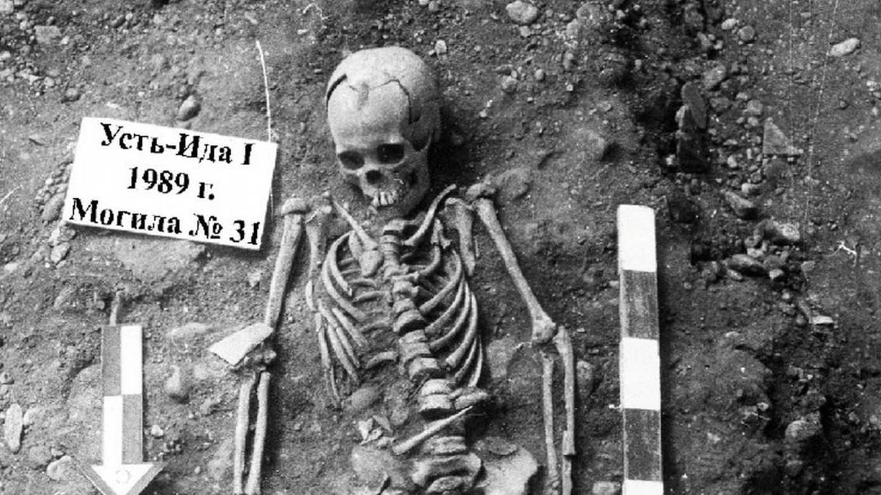 Restos de un niño que padeció la peste hace 5.500 años cerca del lago Baikal, en Siberia.