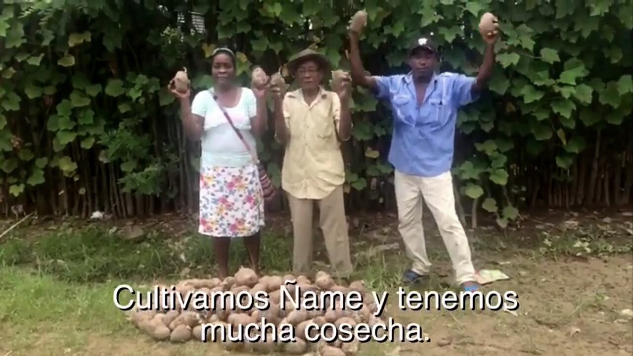 Se estima que, solo en la Alta Montaña de El Carmen, hay 1.250 productores con unos 200.000 bultos apilados en sus patios