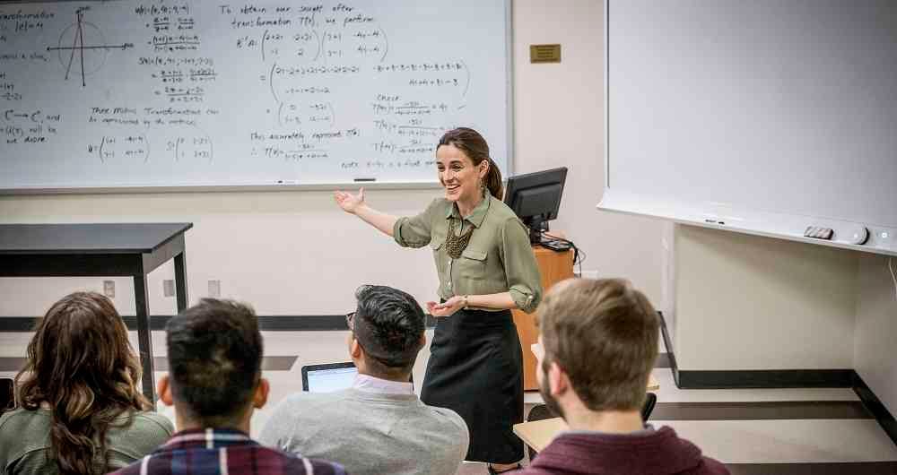 Profesor universitario. 