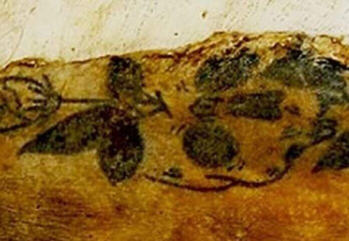 El Instituto Nacional de Medicina Legal y Ciencias Forenses ha dado a conocer la fotografía de un tatuaje de la joven para tratar de localizar algún familiar