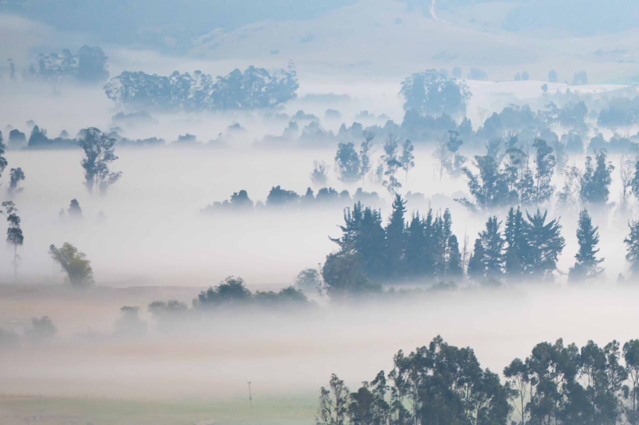 Exposición 'Lo que los ojos no ven'