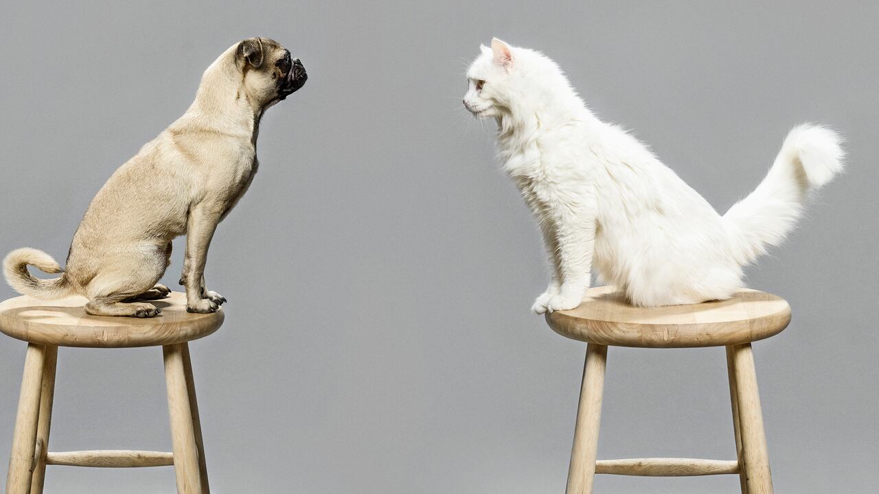 Por ahora, y a falta de tres debates, los representantes han sugerido que sea un máximo de tres días los que puedan tomarse los empleados.