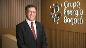 Juan Ricardo Ortega, presidente del GEB.