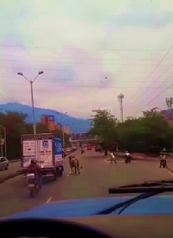 El motociclista se encuentra bajo observación médica.