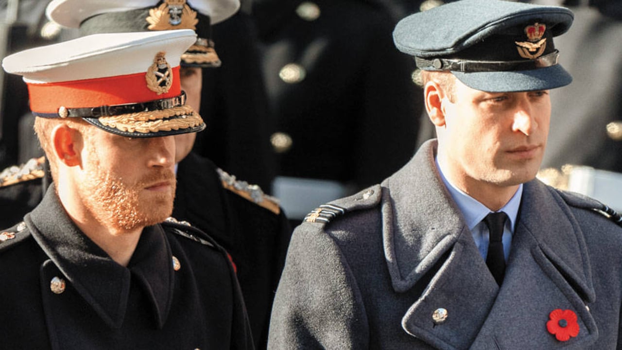 Los reporteros que siguen a la familia real dicen que en los últimos meses William y Harry solo se han visto en eventos oficiales.