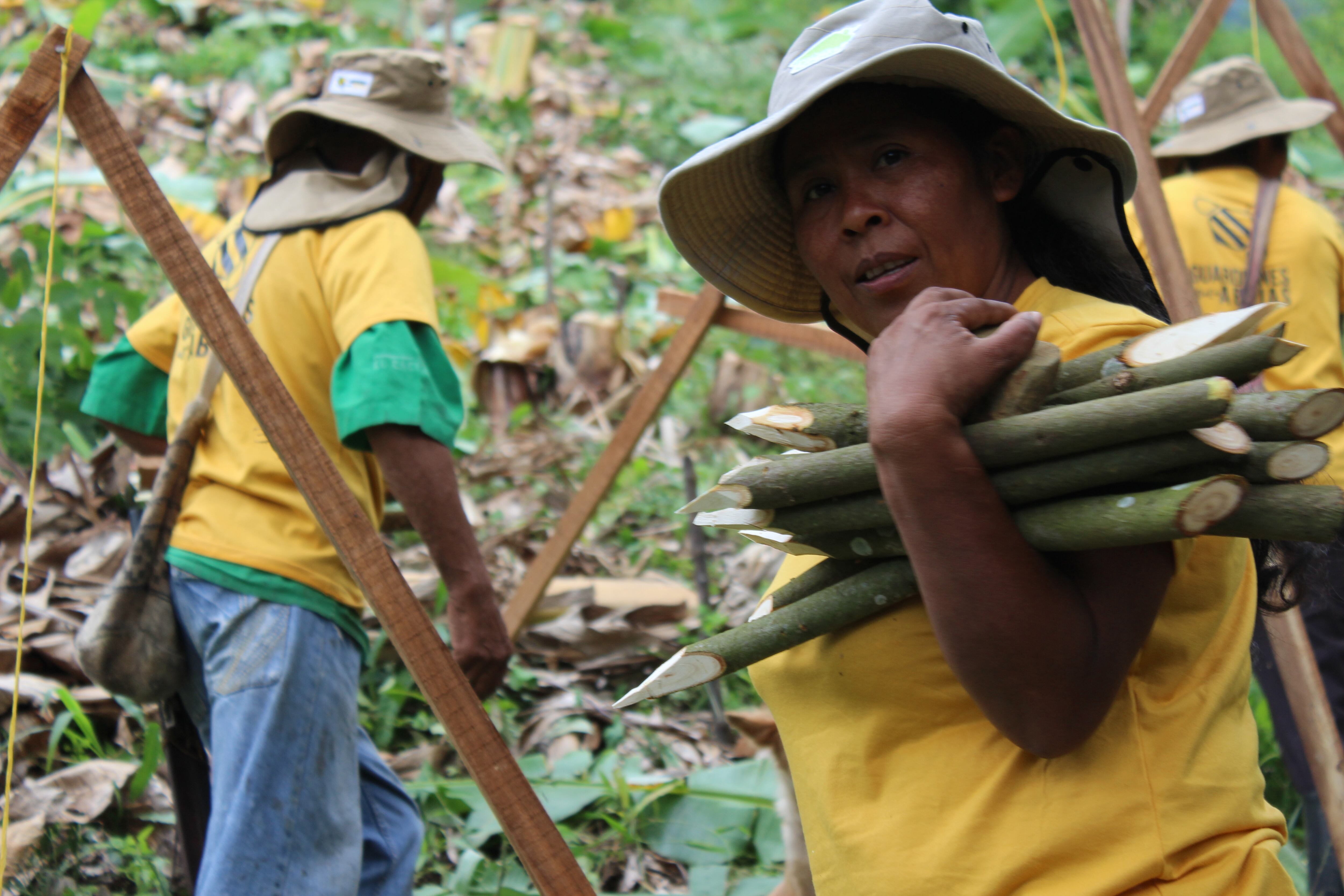 Por medio de los proyectos agroecológicos se busca garantizar la seguridad y soberanía alimentaria en esta comunidad. Para eso se cultivan semillas de maíz nativas del Caribe colombiano.