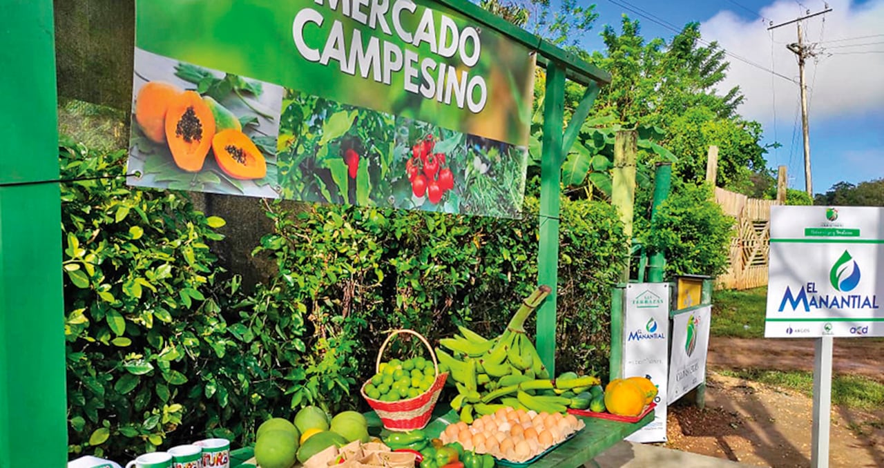 El cuidado ambiental, como en el caso del jaguar, un programa que adelanta ISA, o la posibilidad de acercar la producción rural a los grandes mercados de consumo, son fundamentales para el mejoramiento de los entornos donde se mueven las empresas.