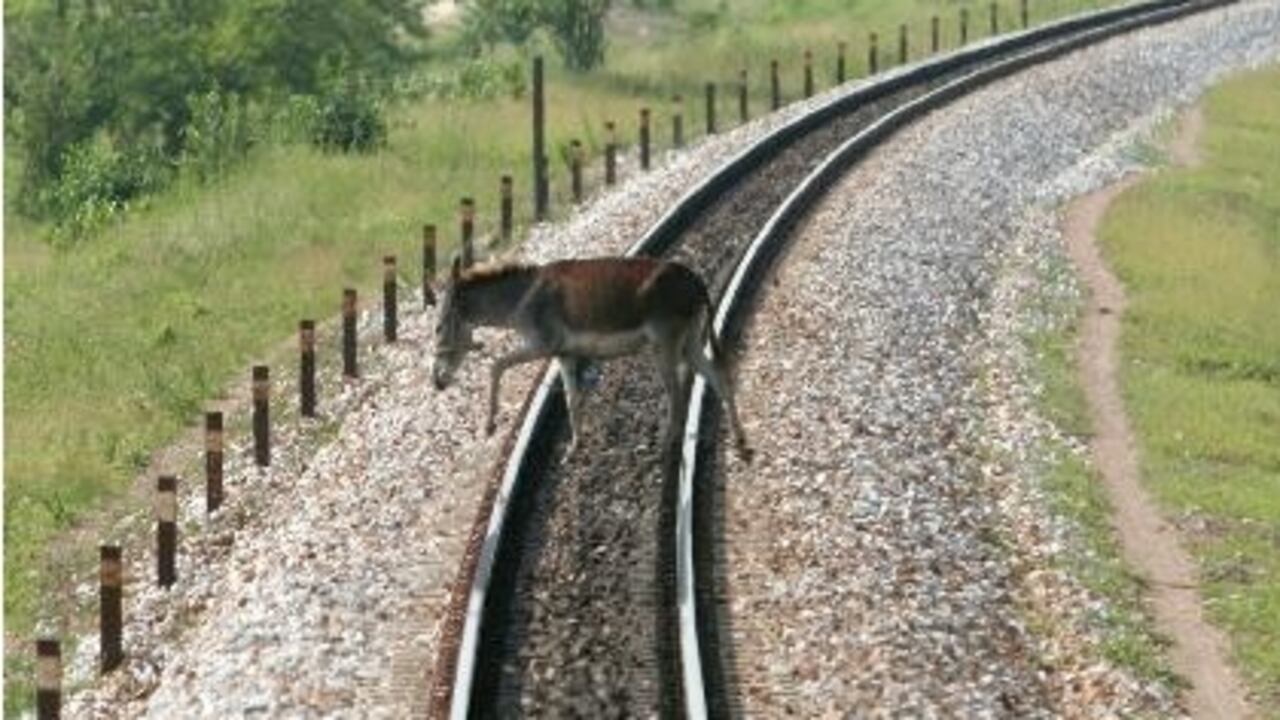 Por posibles irregularidades en el Inco, fue tuvo que responder su director.
