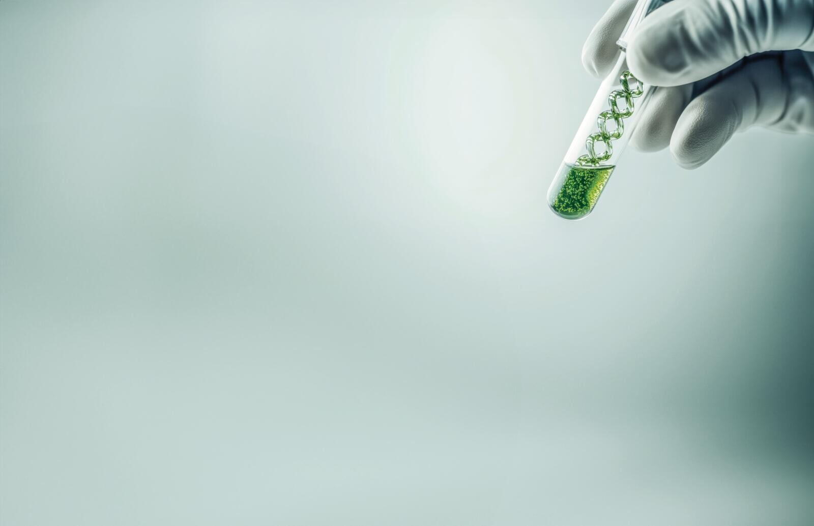 A pesar de la riqueza natural, la medicina fitoterapéutica en Colombia no tiene trazabilidad, opera con poca infraestructura y depende de asociaciones débiles y desarticuladas.