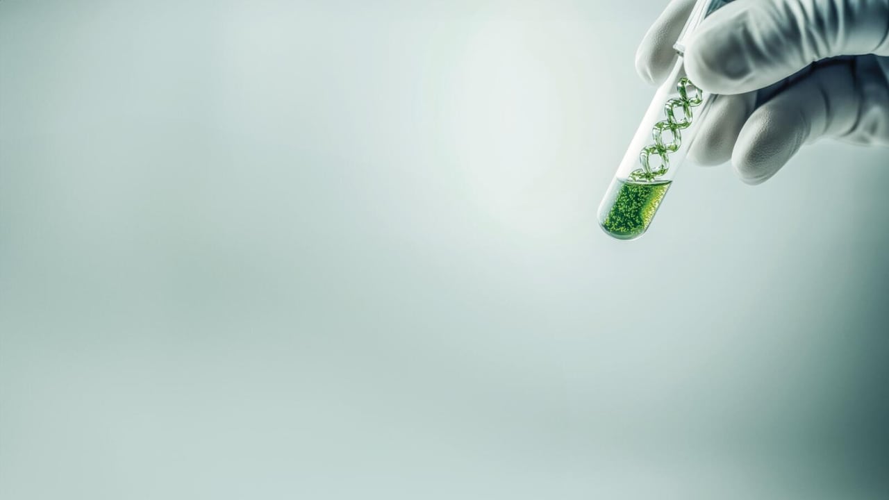 A pesar de la riqueza natural, la medicina fitoterapéutica en Colombia no tiene trazabilidad, opera con poca infraestructura y depende de asociaciones débiles y desarticuladas.