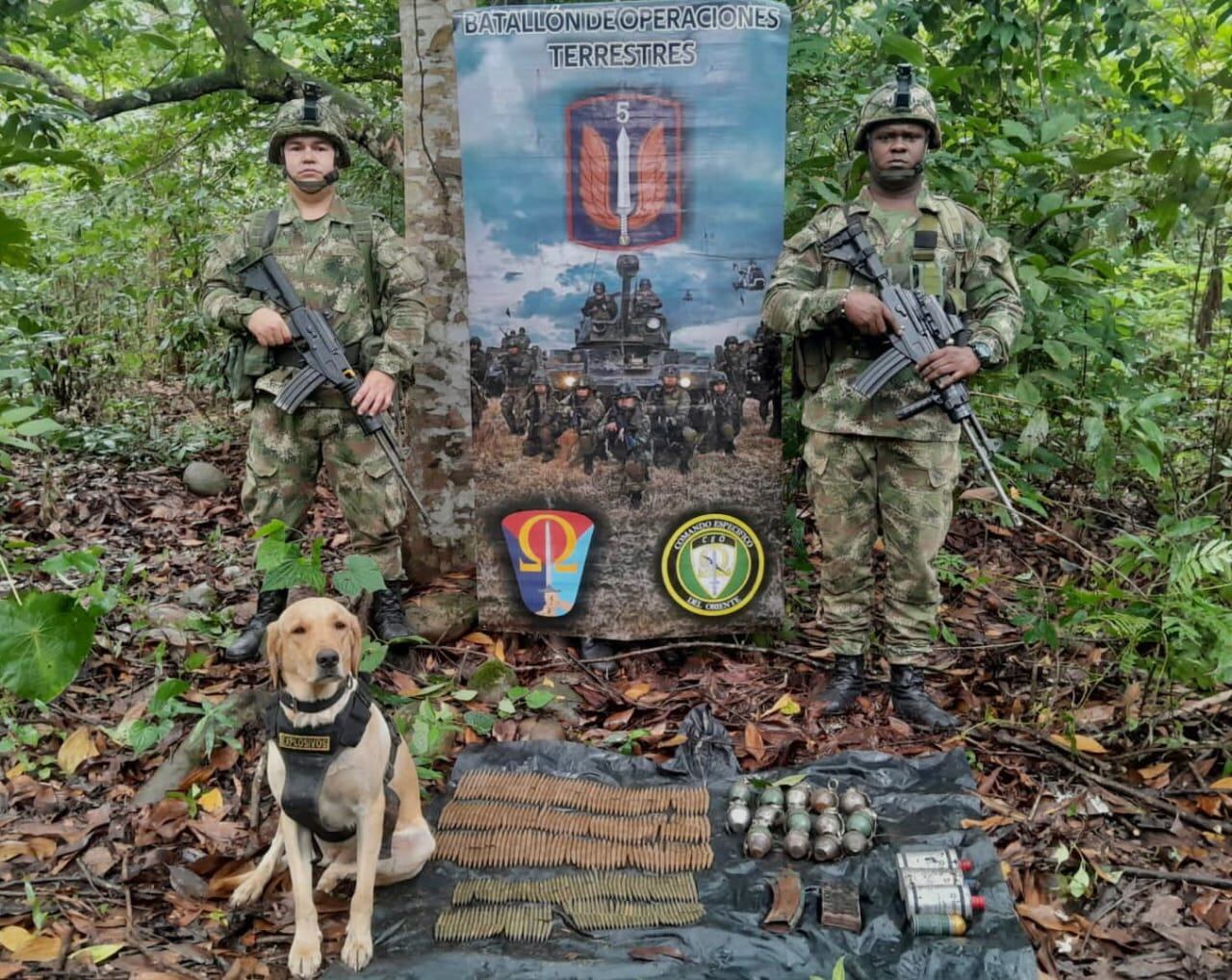 Este era Happy 4, el héroe de cuatro patas que detectó la carga mortal.