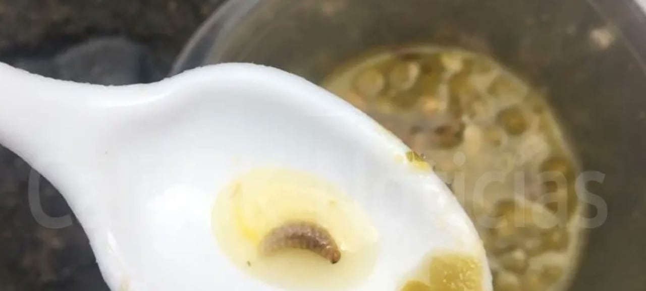 Presos de la cárcel de Palmira, Valle, denuncian que han recibido comida con gusanos.