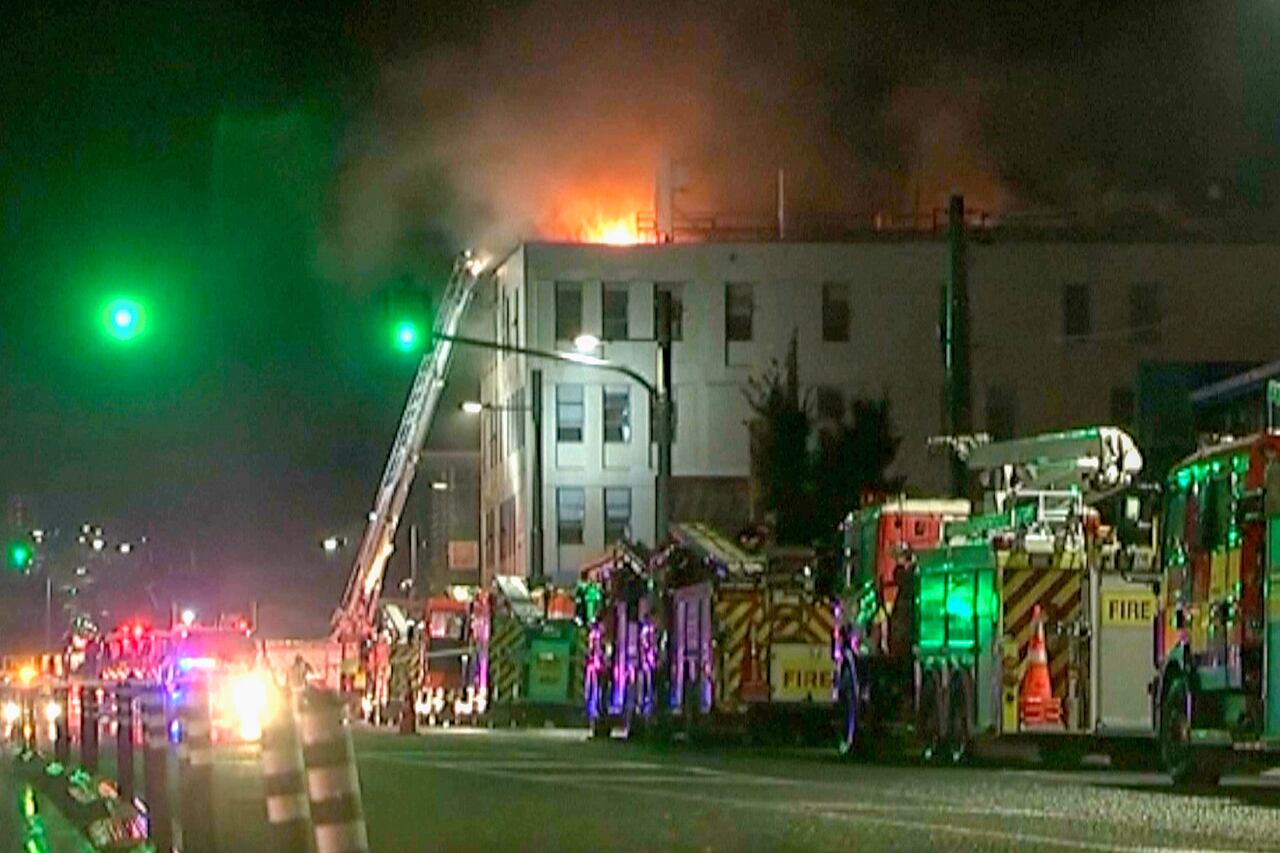Incendio en Wellington: cuerpos de emergencia lucharon para controlar las llamas.