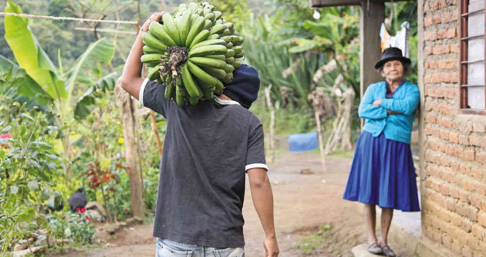 Los alimentos parecen presentar aún un costo alto a pesar de los síntomas de mejoría.